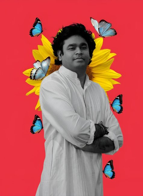 AR Rahman Sunflower Butterfly Pose