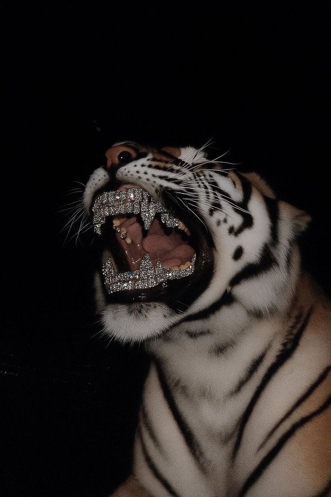 Diamond Tiger Fierce Pose