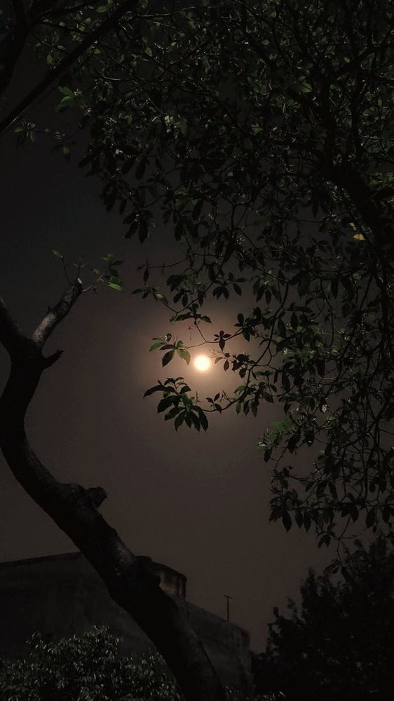 Hidden Moon