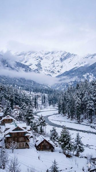Snowy Village