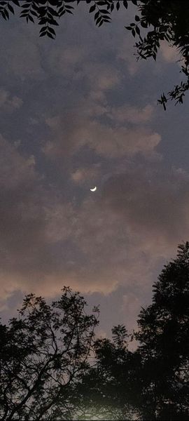 Moon Behind Clouds