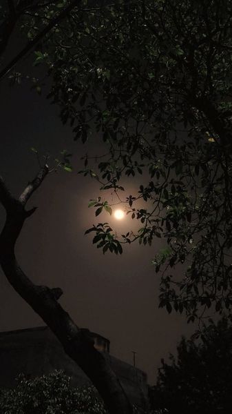 Hidden Moon