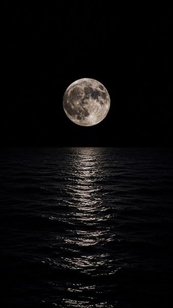 Moonlit Reflection