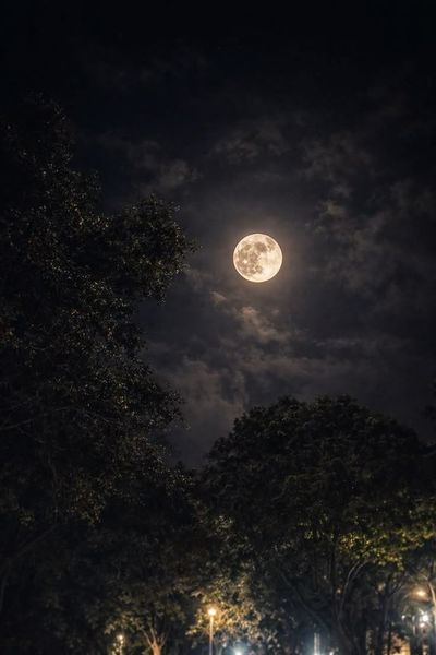 Moon Through Clouds