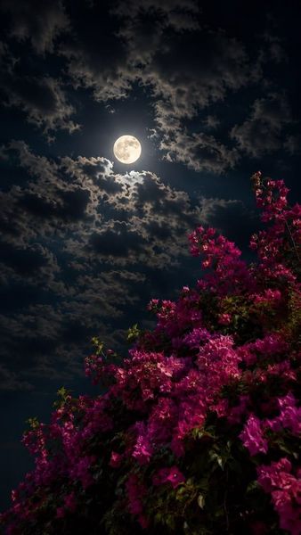 Floral Moonlight
